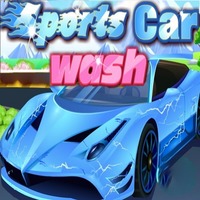 Sports Car Wash