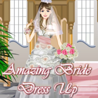 Amazing Bride Dress Up