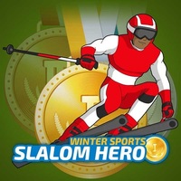 Winter Sports Slalom Hero